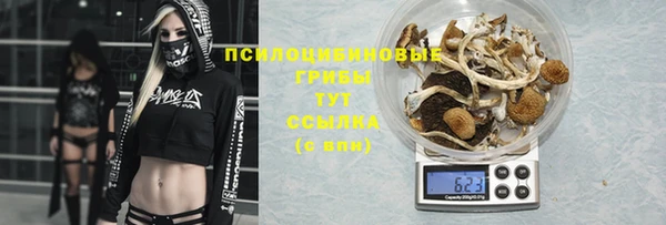 гидропоника Белоозёрский