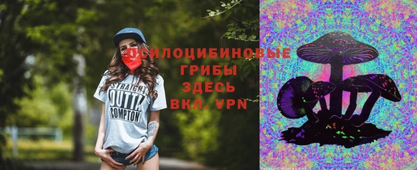 гидропоника Белоозёрский
