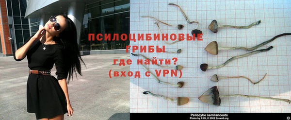 гидропоника Белоозёрский