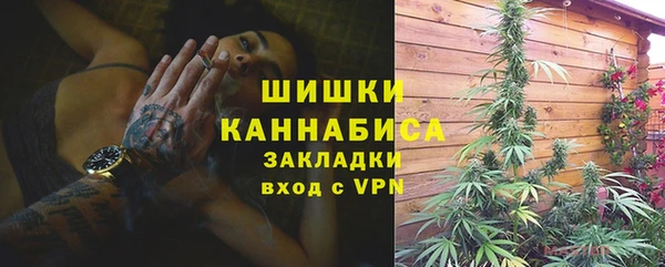 apvp Белокуриха