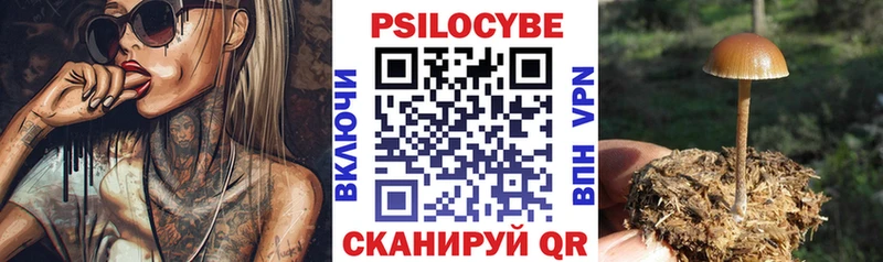 где купить   Воскресенск  Галлюциногенные грибы GOLDEN TEACHER 